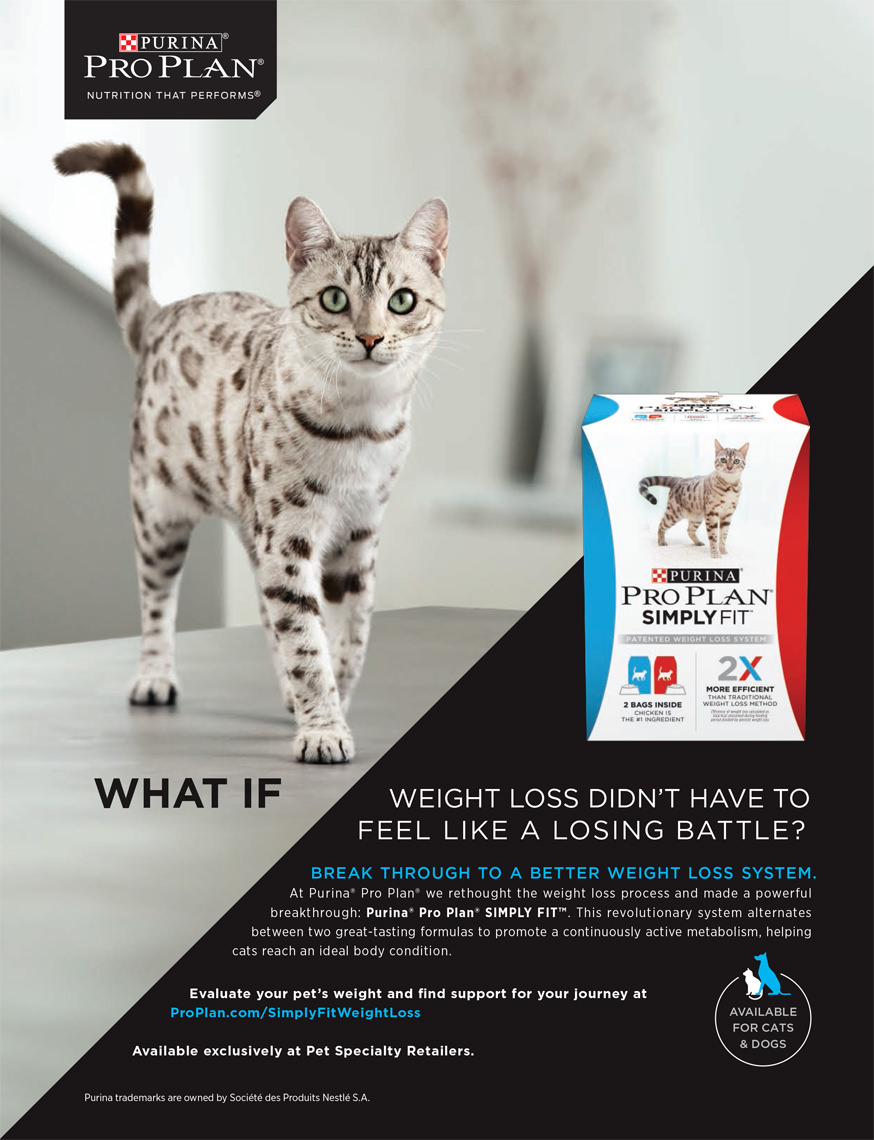 085053 2017 SFCat Print_CookLght_FullPg